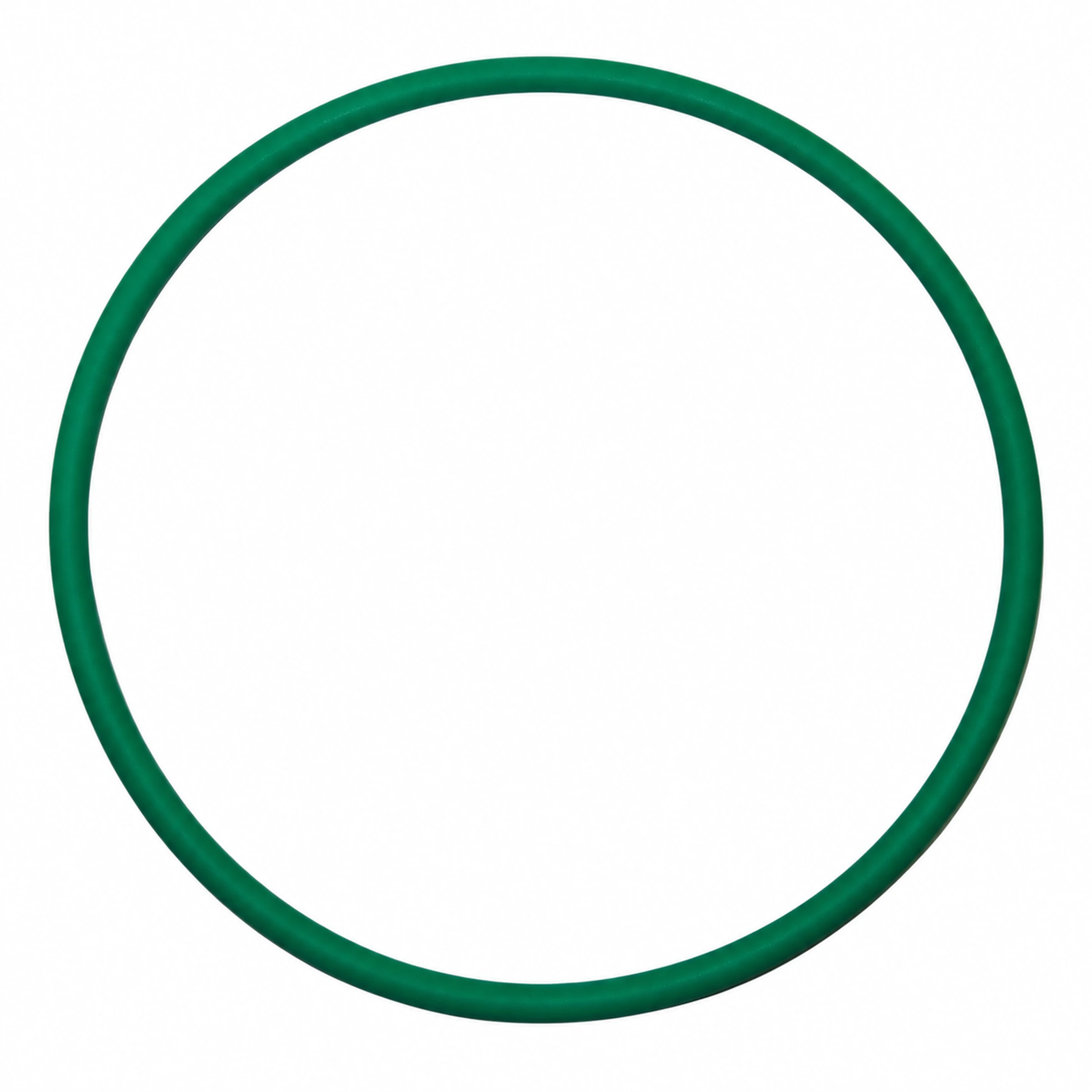 Accumulator Round Belt — 1033063