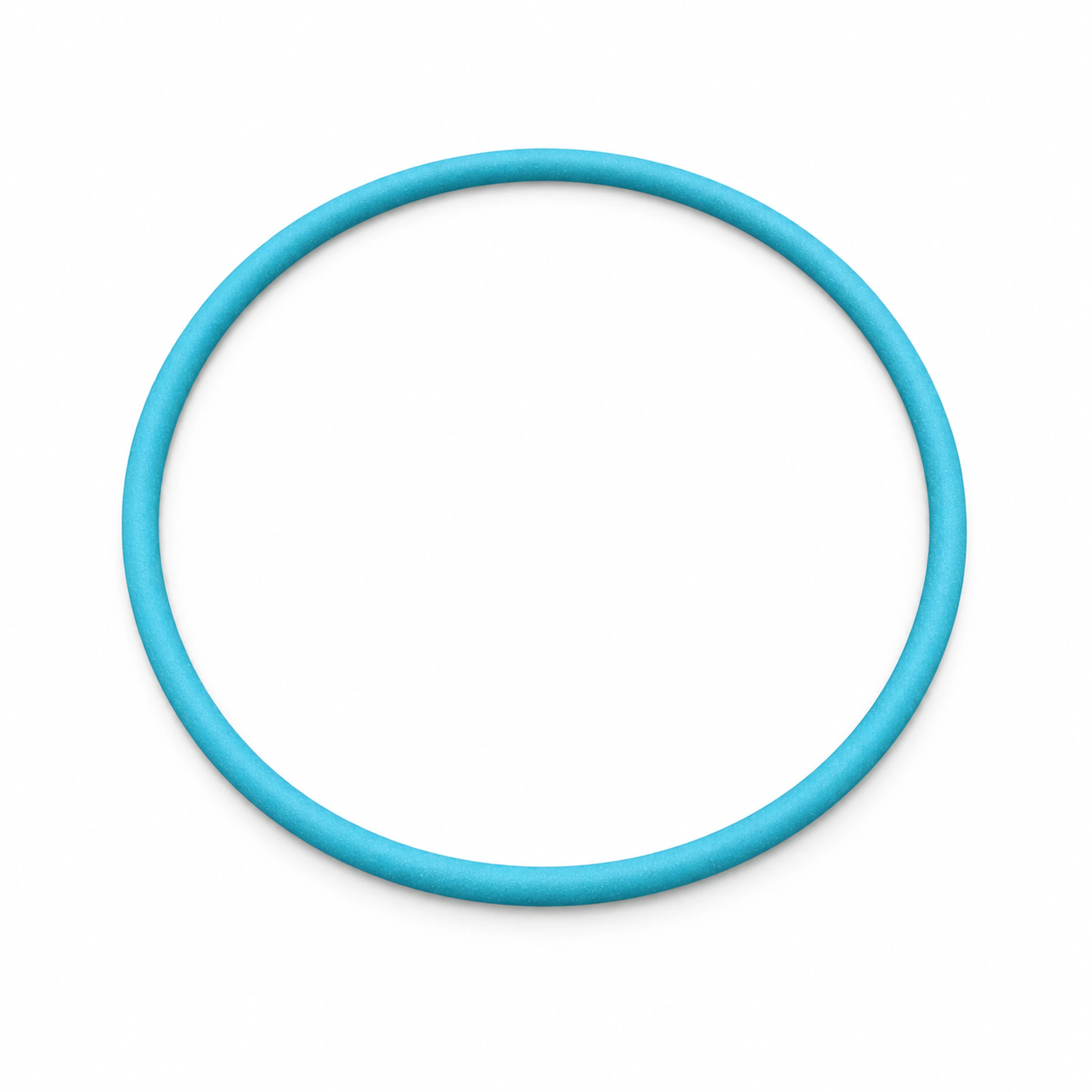 Accelerator O-Ring - 18014-007