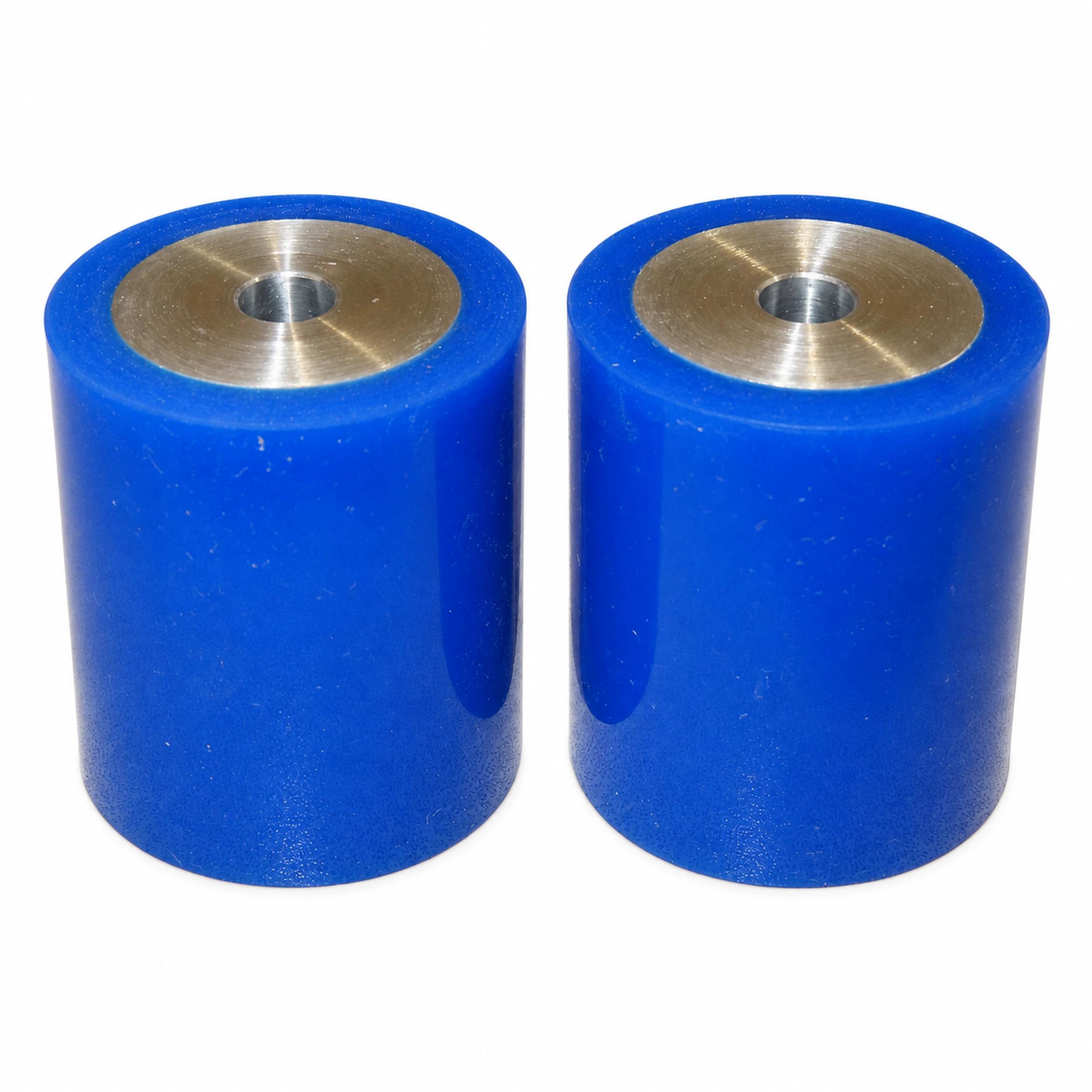 Blue Singulator Roller — 25913600